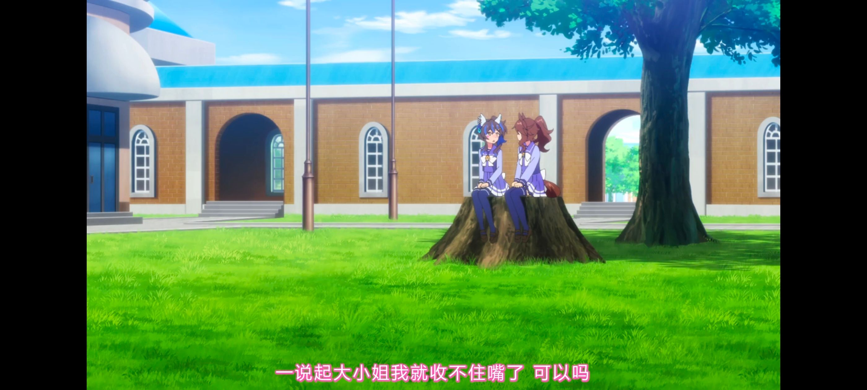 赛马娘,赛马娘PrettyDreby,赛马娘第二季,动画,动漫,番剧,ACG