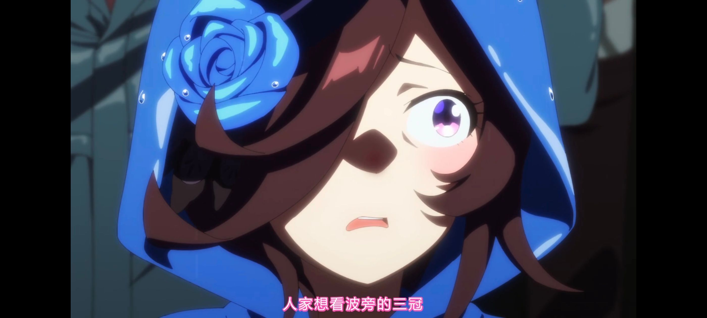 赛马娘,赛马娘第二季,动画,动漫,番剧,二次元,ACG,赛马娘PrettyDerby