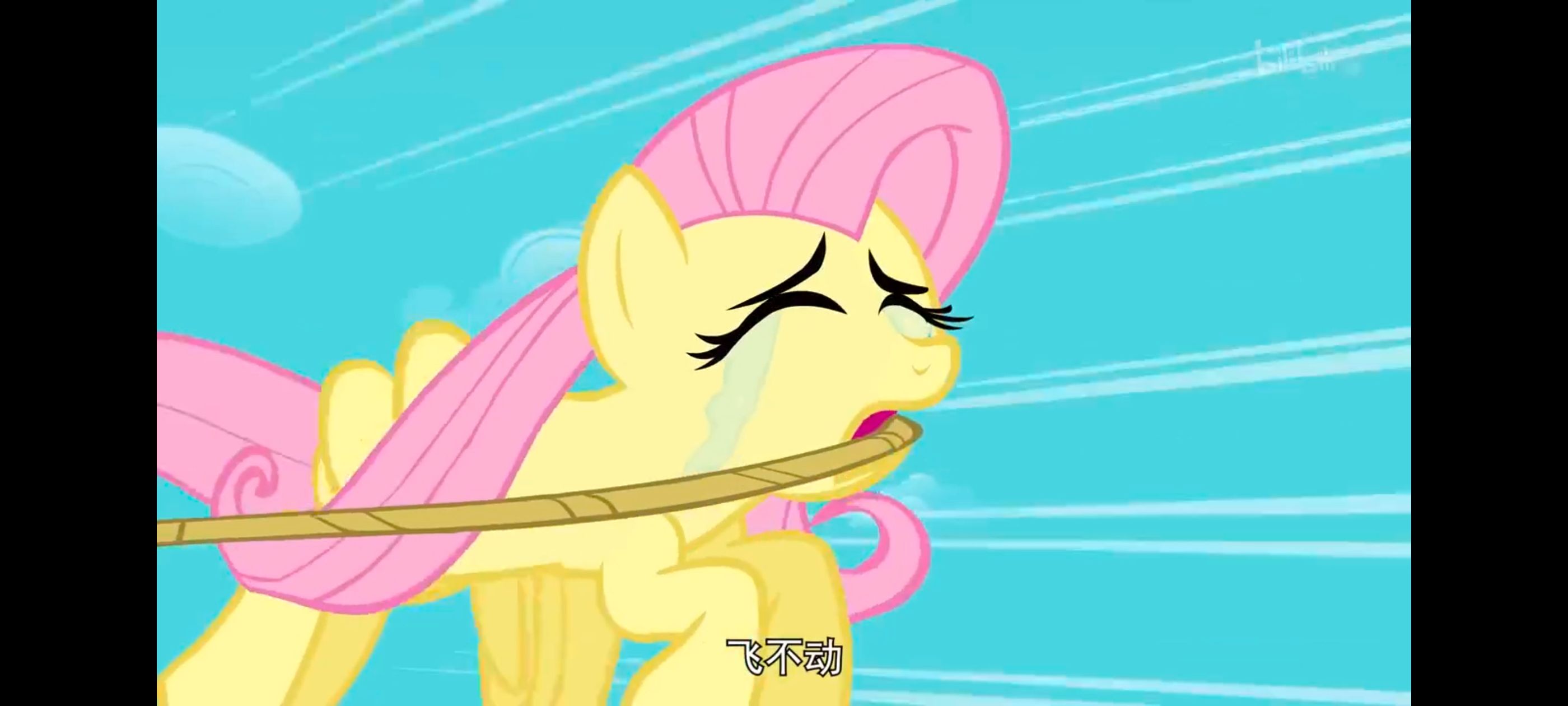 小马宝莉,彩虹小马,我的小马驹,小马宝莉友谊魔法,动漫,动画,番剧,ACG