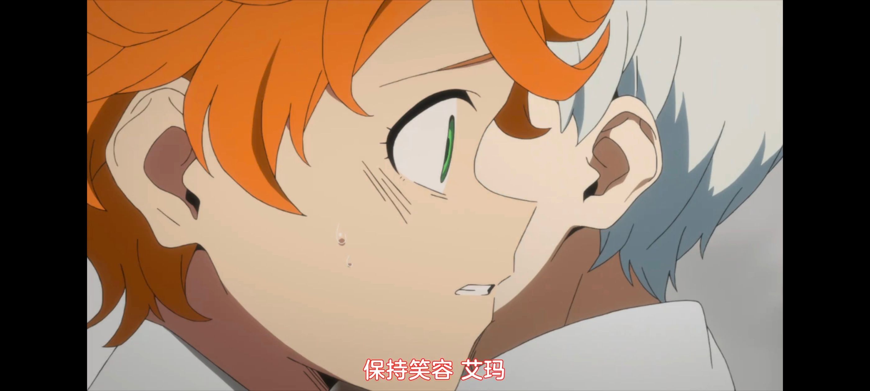 约定的梦幻岛,动画,动漫,番剧,ACG