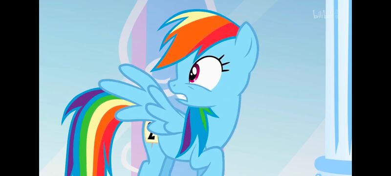 小马宝莉,小马宝莉友谊魔法,彩虹小马,我的小马驹,动画,动漫,番剧,ACG