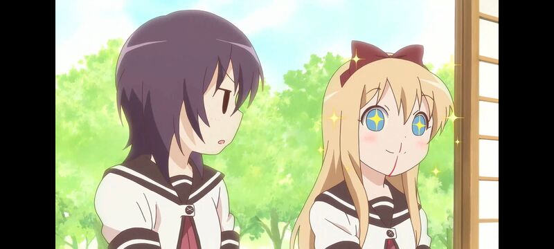 摇曳百合,百合,动画,动漫,番剧,二次元,ACG