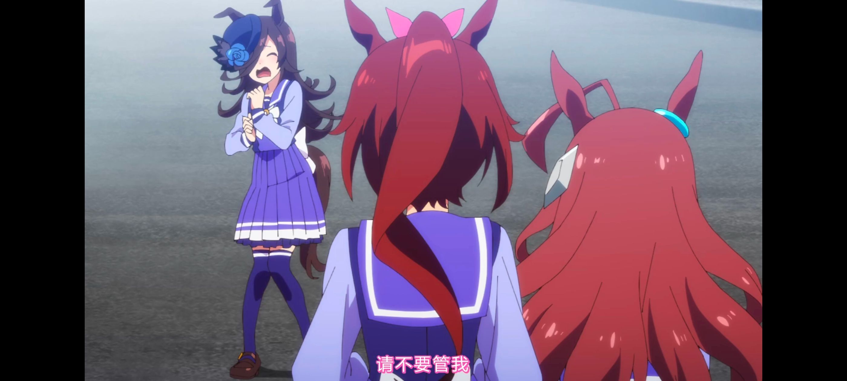 赛马娘,赛马娘第二季,动画,动漫,番剧,二次元,ACG,赛马娘PrettyDerby