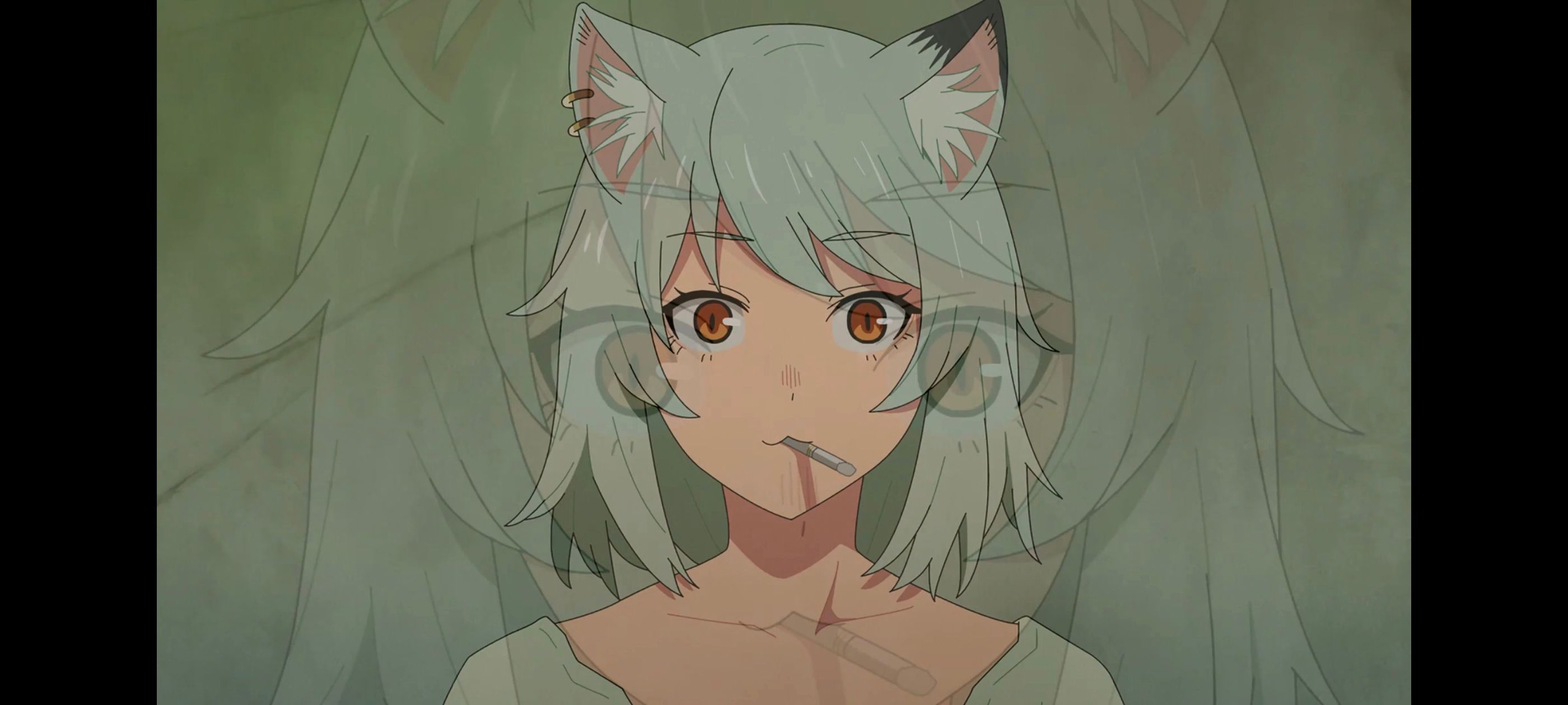 雅尼猫,尼古喵喵,动画,动漫,番剧,日漫,二次元,ACG