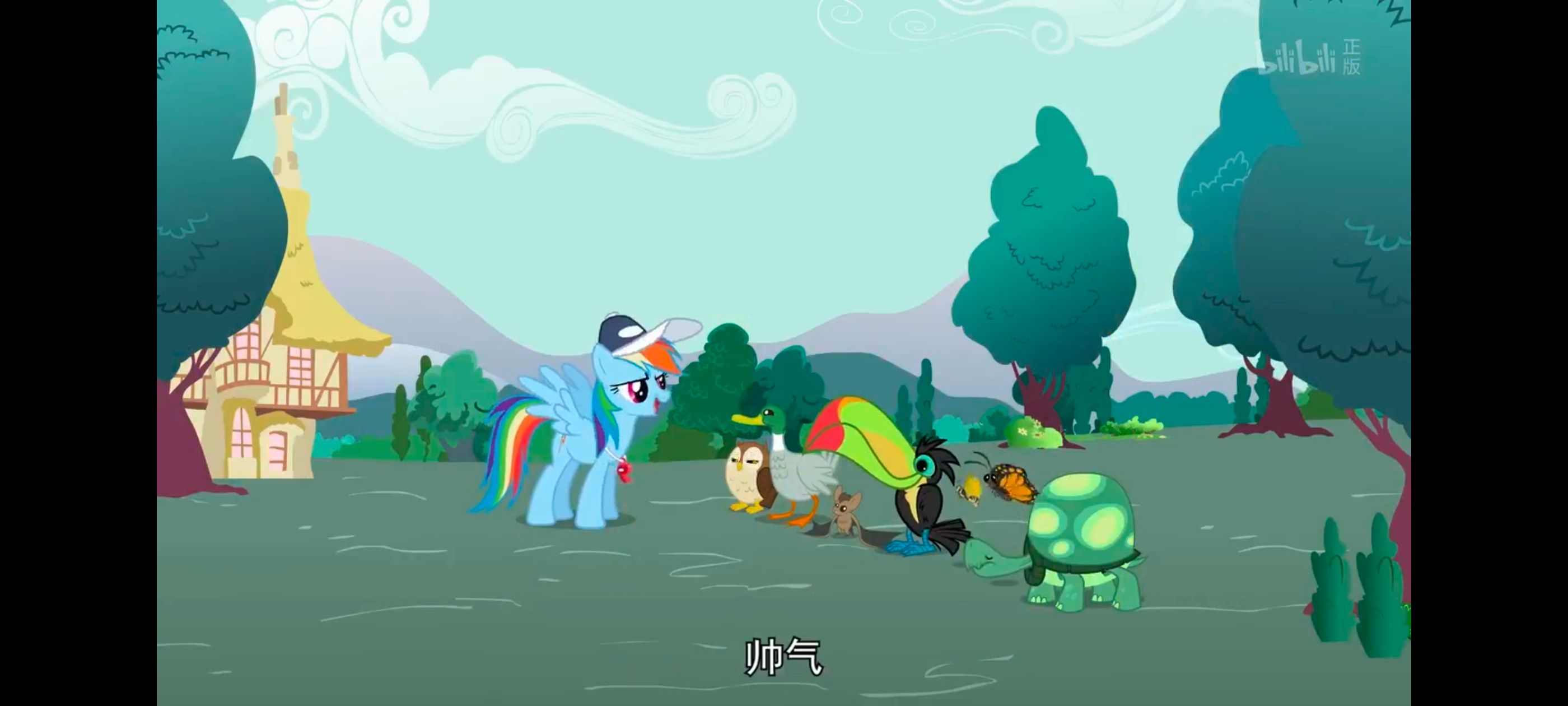 小马宝莉,彩虹小马,我的小马驹,动画,动漫,番剧,二次元,ACG