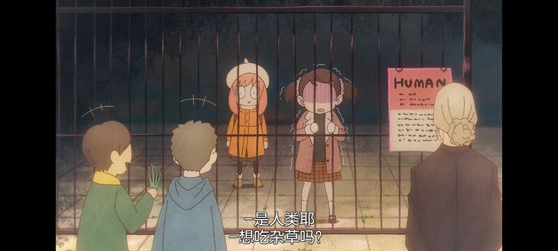 间谍过家家,SPYFAMILY,动画,动漫,番剧,ACG