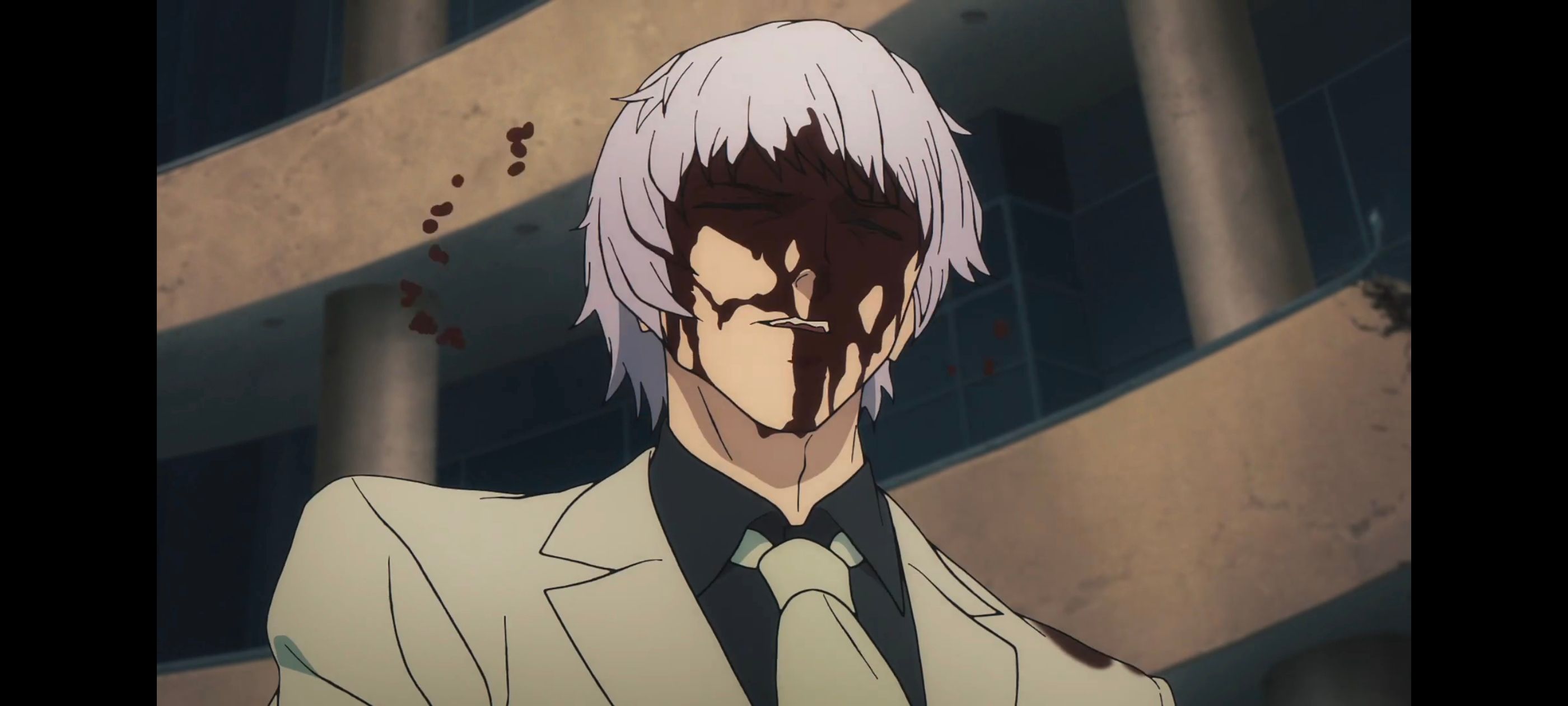 命运奇异赝品,FatestrangeFake,动画,动漫,番剧,ACG