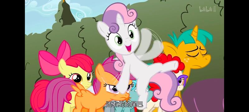小马宝莉,小马宝莉友谊魔法,彩虹小马,我的小马驹,动画,动漫,番剧,ACG