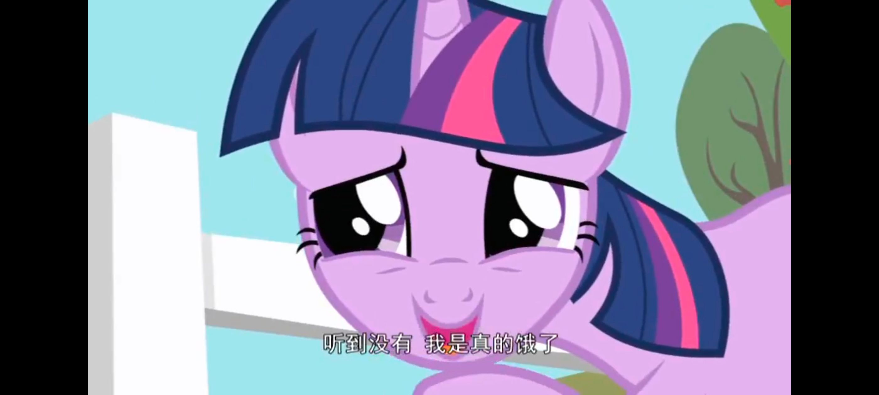 /static/2b82aa51dabffe4eac79363c1fc436f5f91b138a10b6e8a466eaa9da264a66c0.jpg