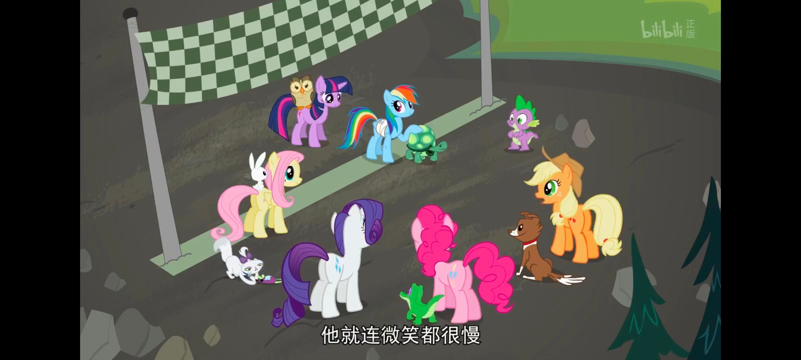 小马宝莉,彩虹小马,我的小马驹,动画,动漫,番剧,二次元,ACG