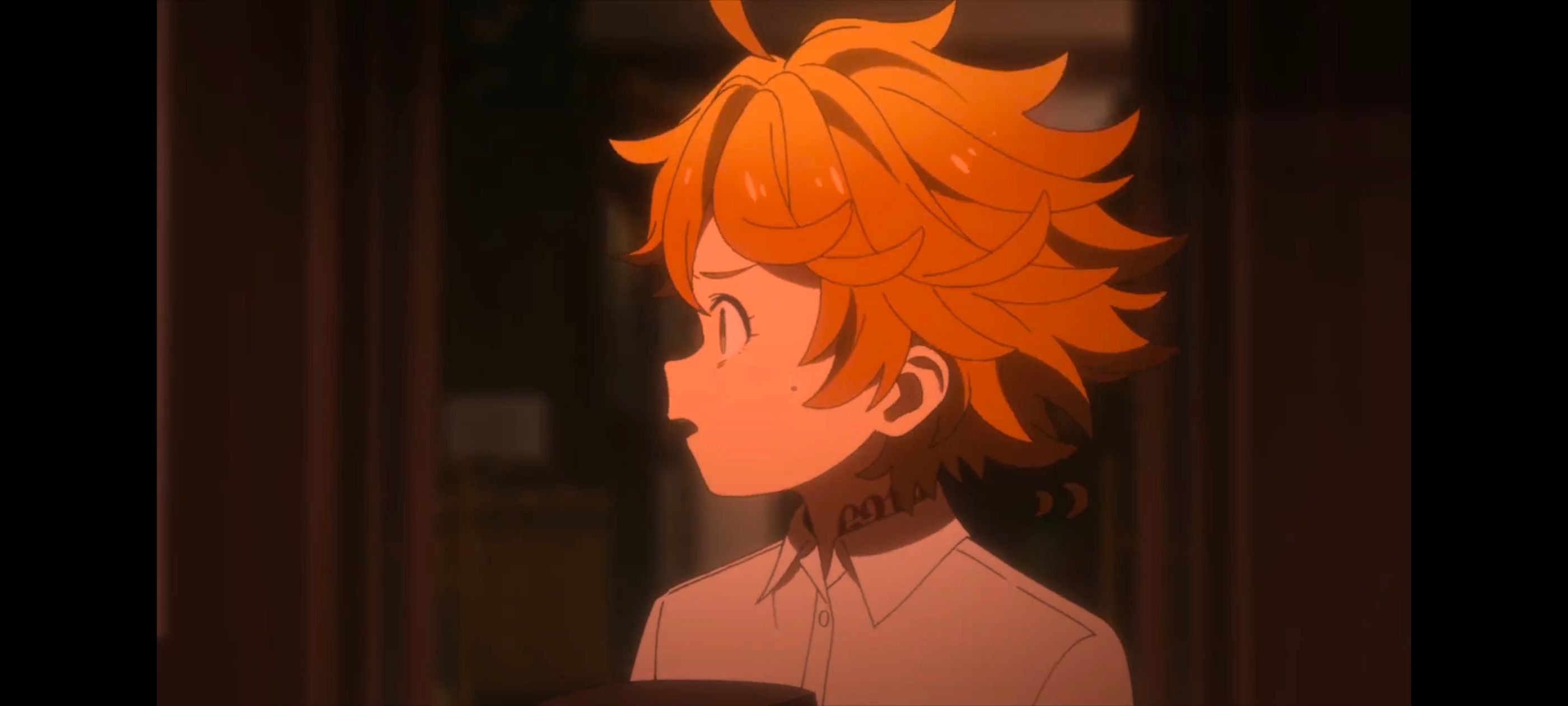 约定的梦幻岛,动画,动漫,番剧,ACG