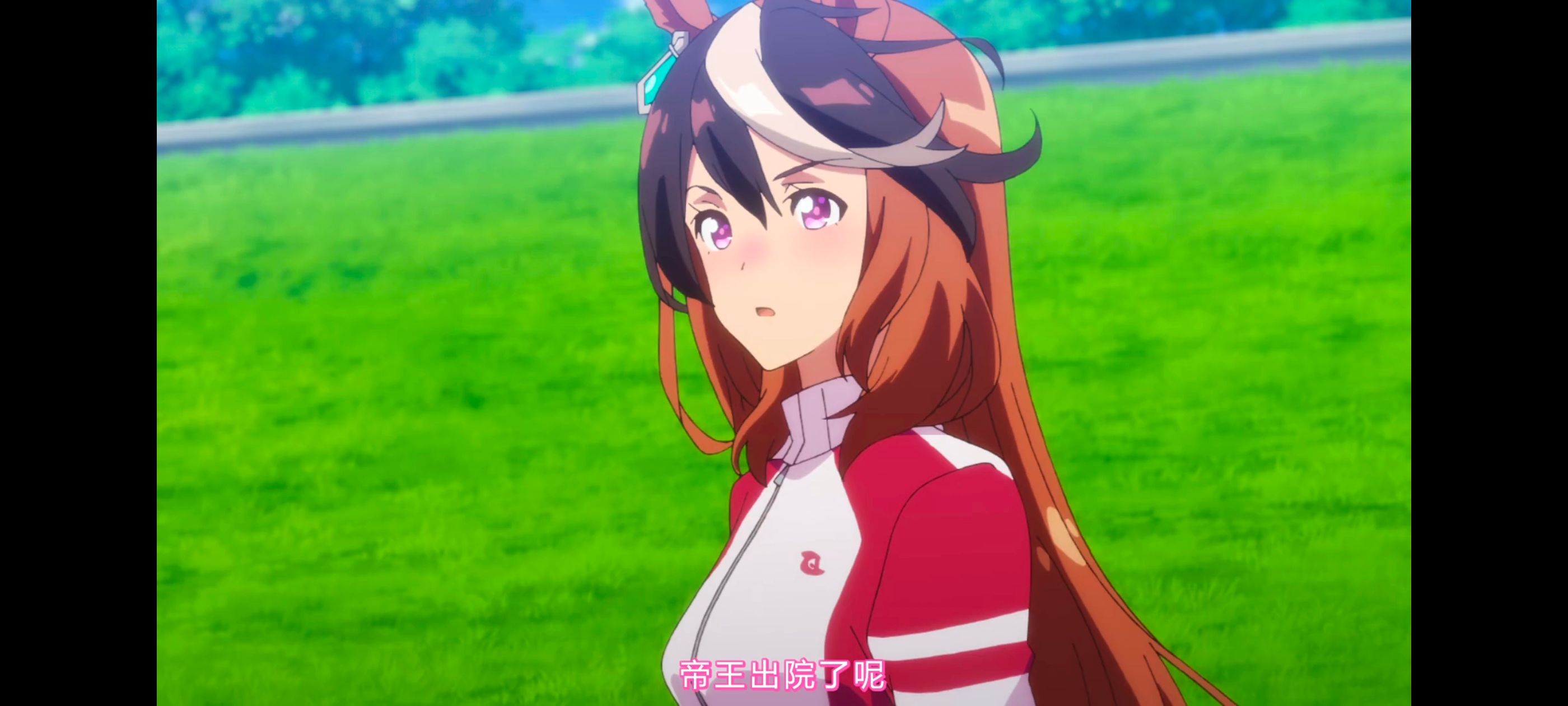 赛马娘,赛马娘第二季,动画,动漫,番剧,ACG