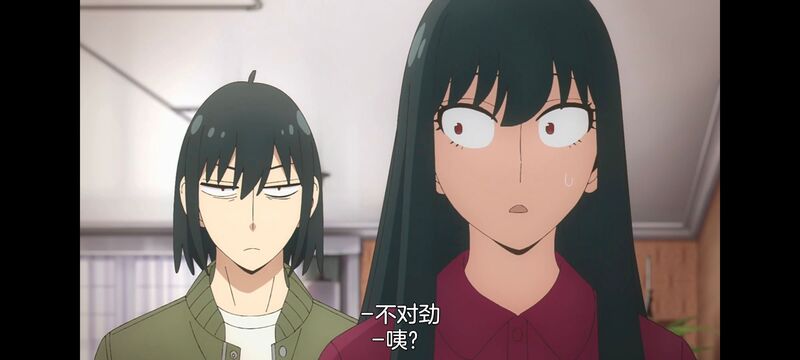 间谍过家家,SPYFAMILY,动画,动漫,番剧,ACG