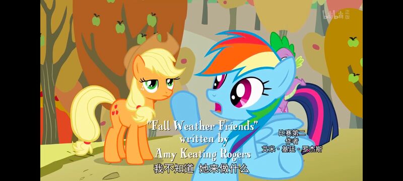 小马宝莉,小马宝莉友谊魔法,彩虹小马,我的小马驹,动画,动漫,番剧,ACG