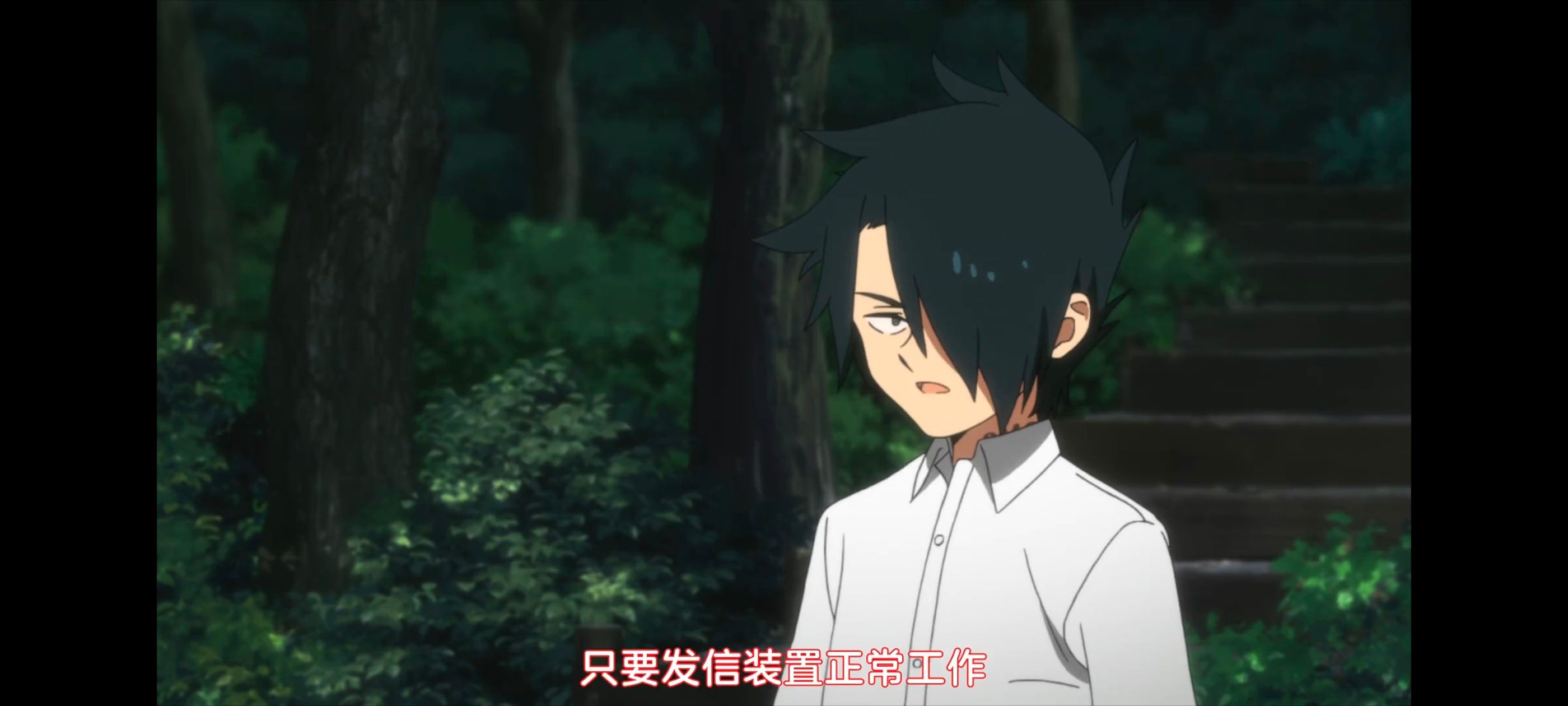 约定的梦幻岛,动画,动漫,番剧,ACG