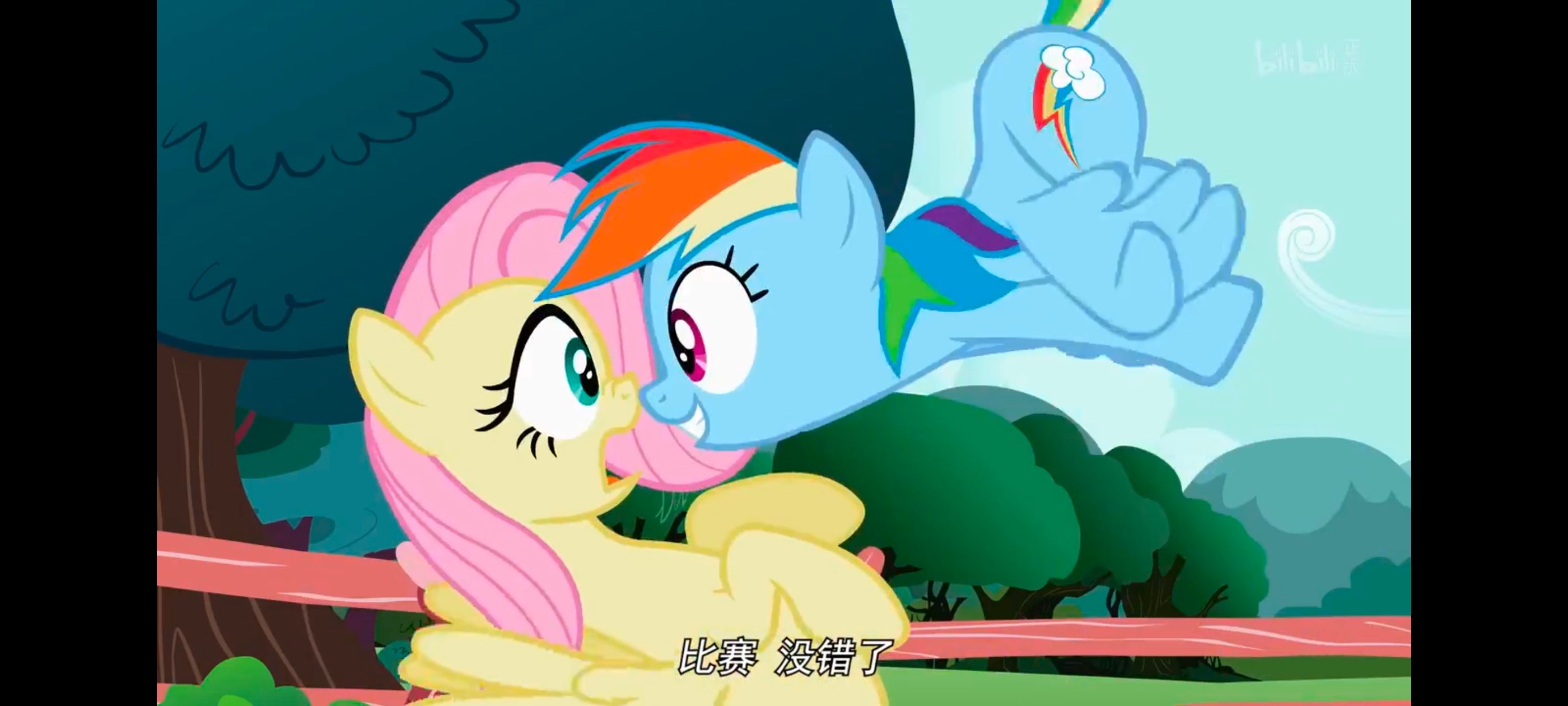 小马宝莉,彩虹小马,我的小马驹,动画,动漫,番剧,二次元,ACG