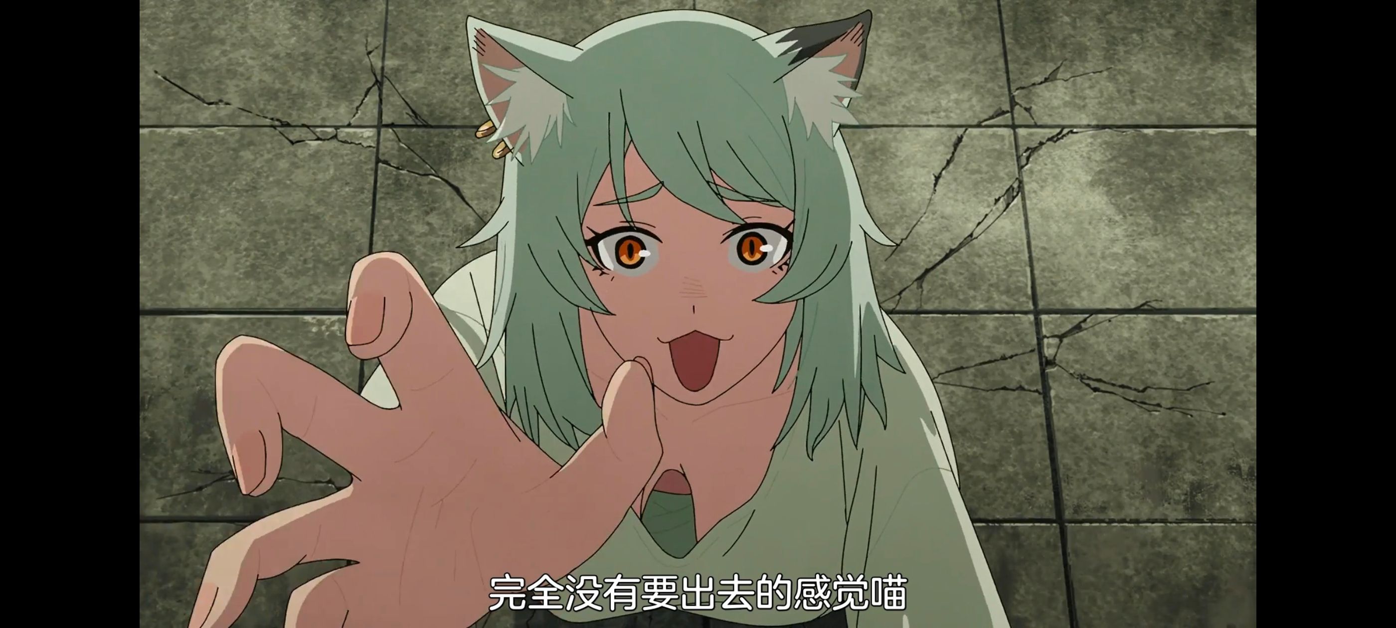 雅尼猫,尼古喵喵,动画,动漫,番剧,日漫,二次元,ACG