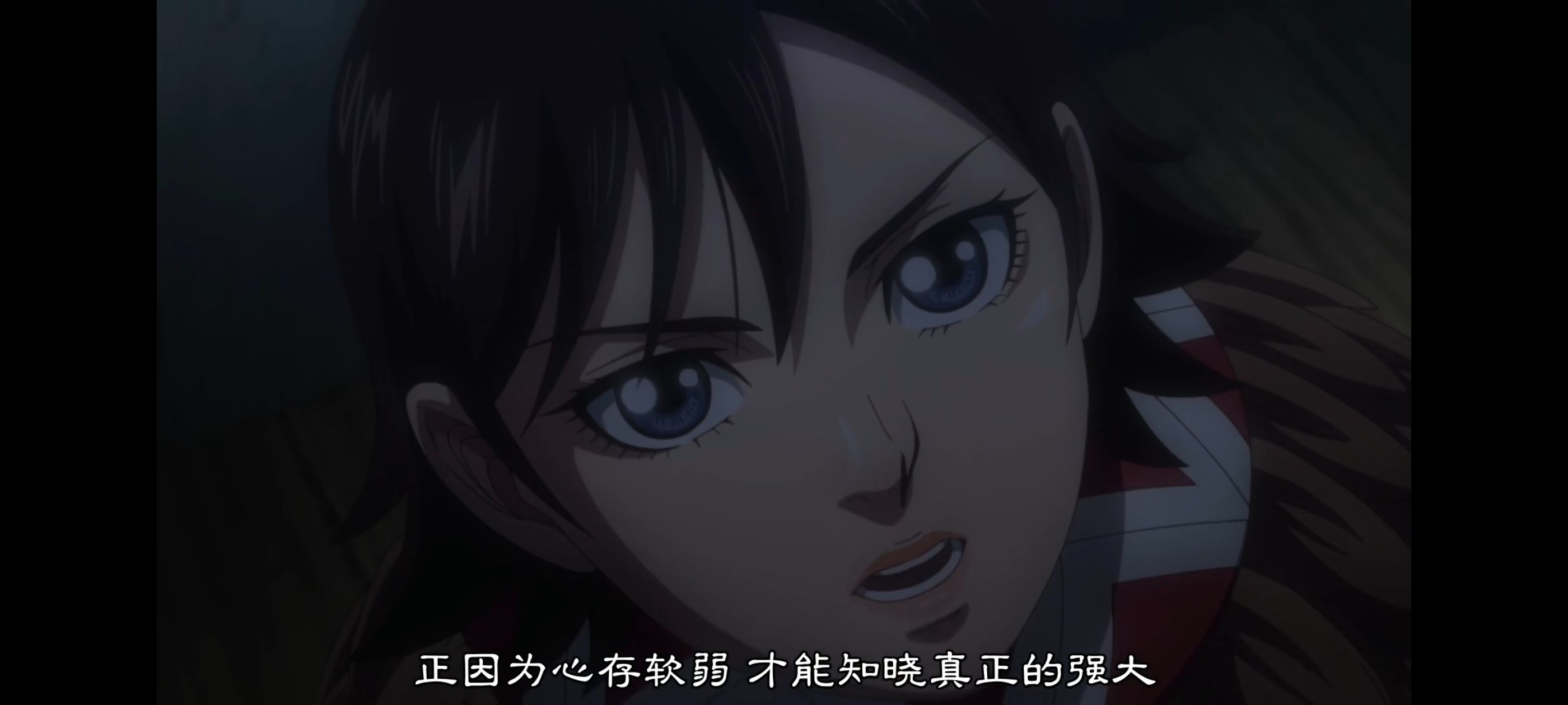 王者天下,动画,动漫,番剧,ACG