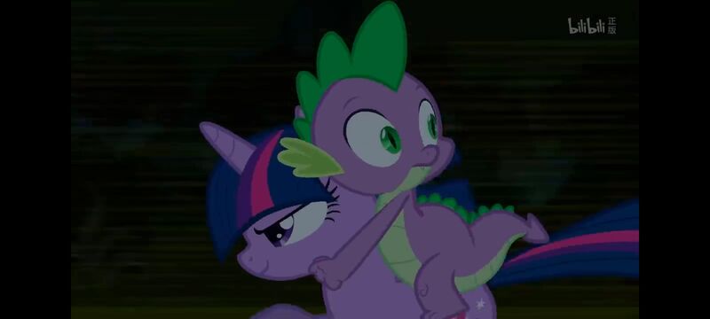 小马宝莉,彩虹小马,我的小马驹,动画,动漫,番剧,ACG,小马宝莉友谊魔法