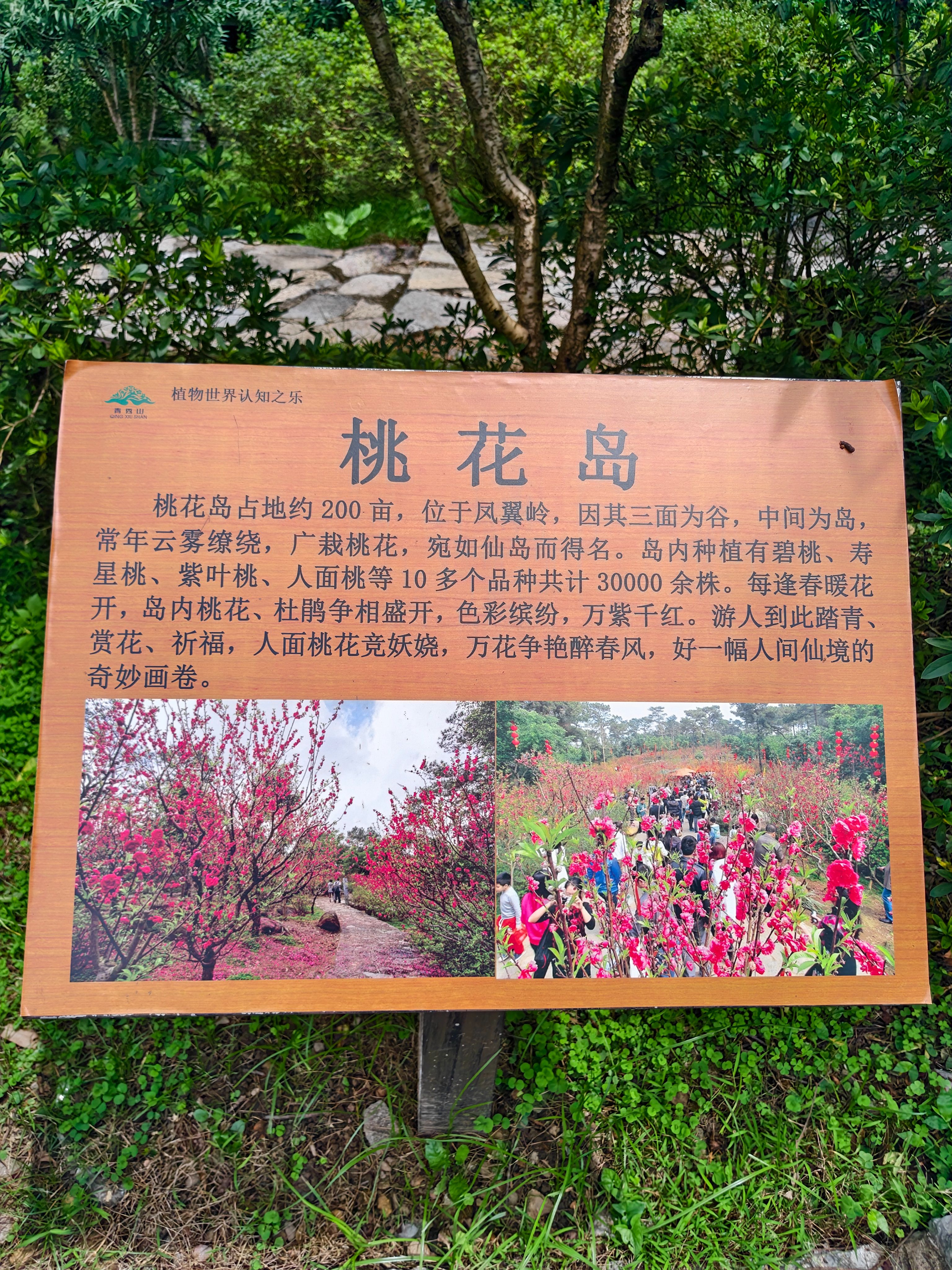 青秀山,三街两巷,特种兵般的旅游
