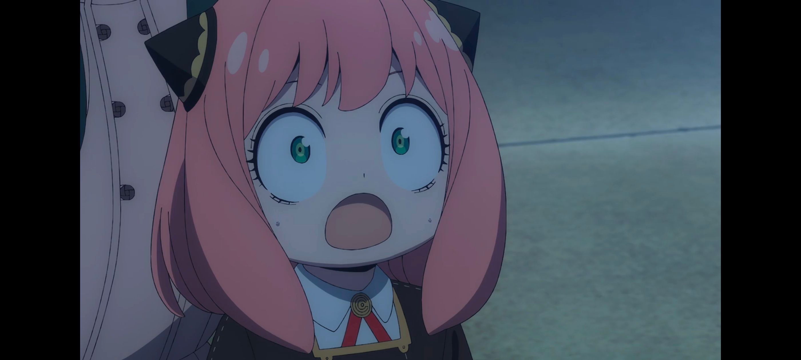 间谍过家家,SPYFAMILY,动画,动漫,番剧,ACG