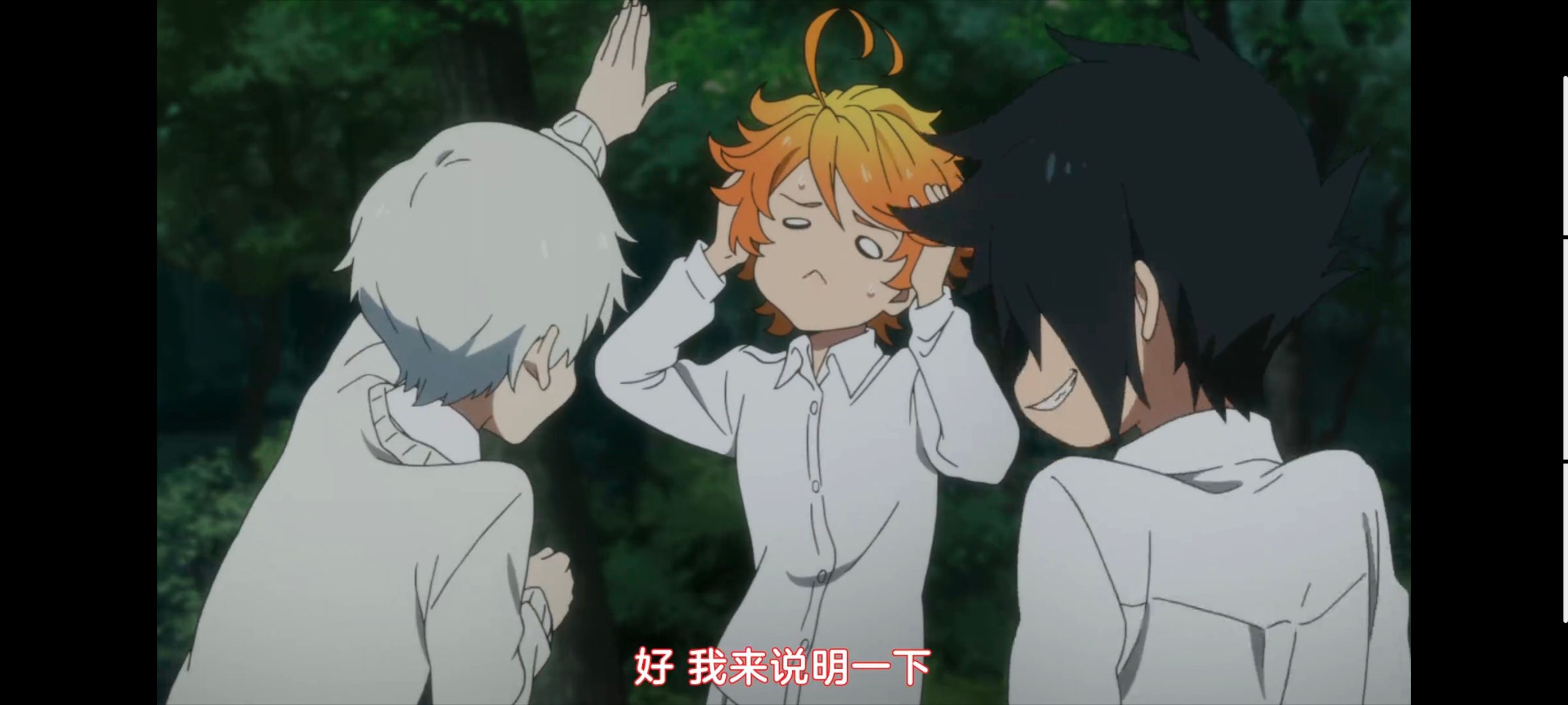 约定的梦幻岛,动画,动漫,番剧,ACG