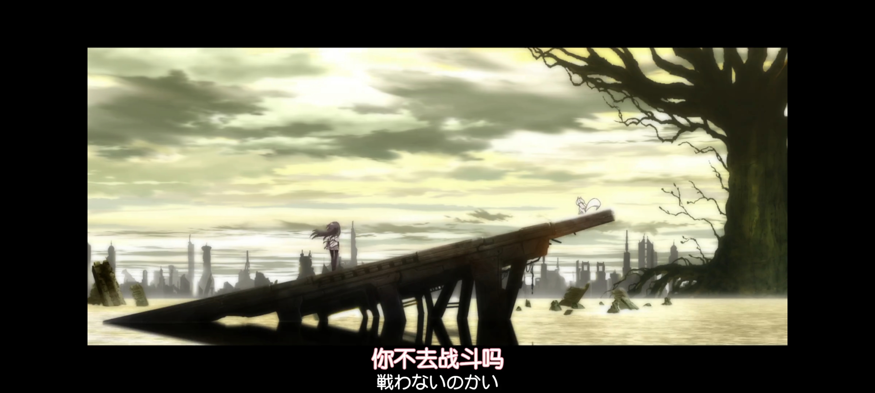 魔法少女小圆,魔法少女,动画,动漫,二次元,ACG