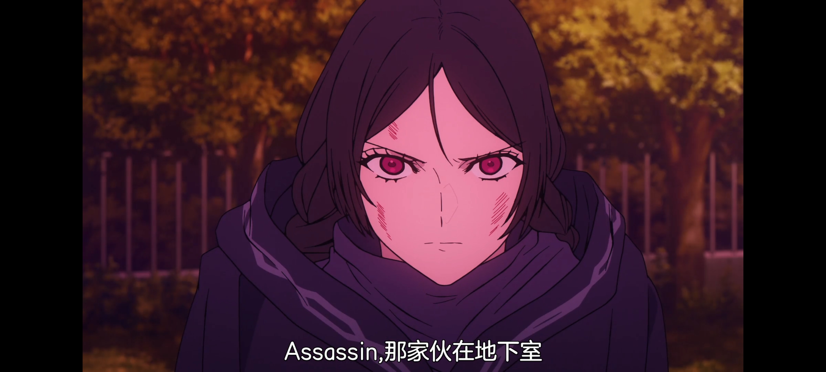 FATE,命运奇异赝品,FatestrangeFake,动画,动漫,番剧,二次元,ACG