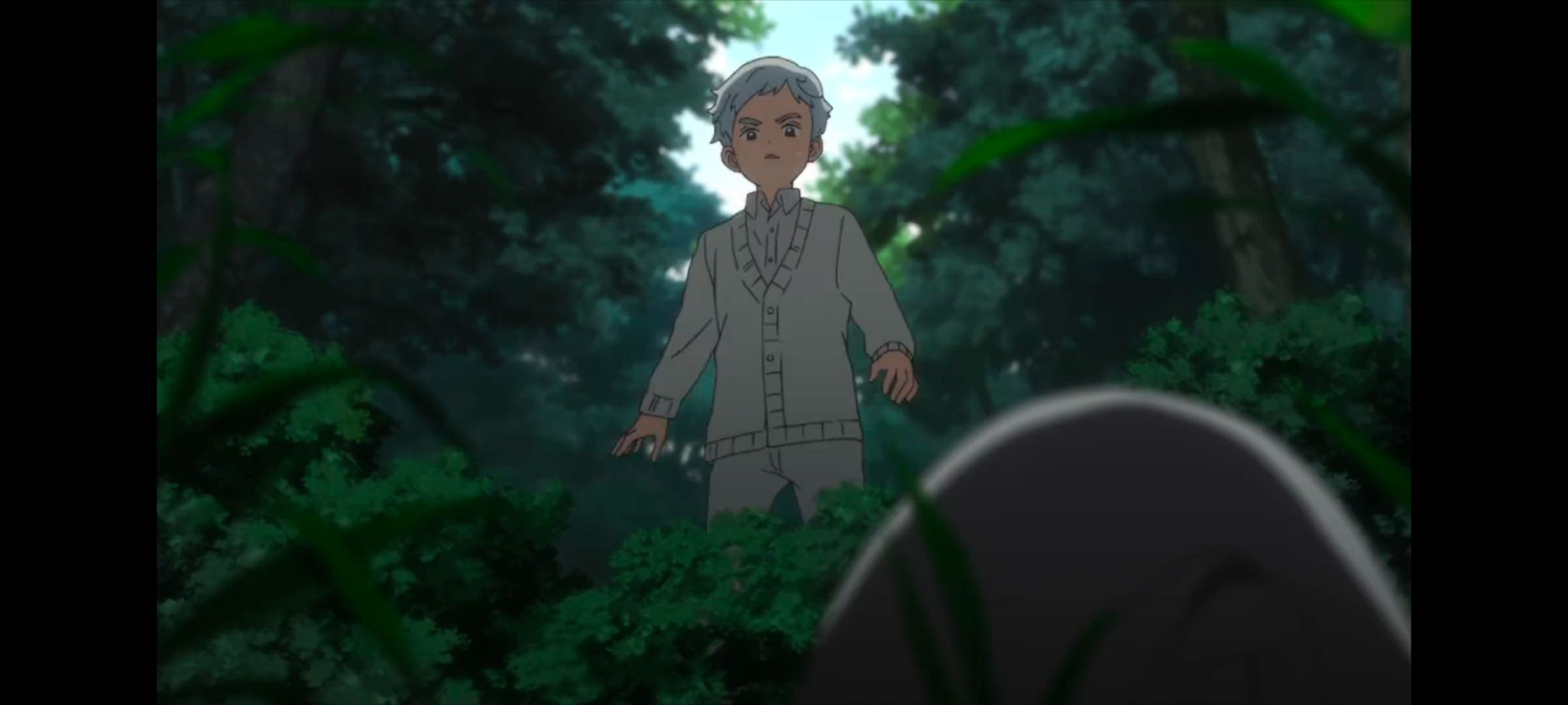 约定的梦幻岛,动画,动漫,番剧,二次元,ACG