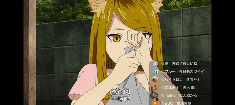 尼古喵喵,雅尼猫,动画,动漫,番剧,二次元,日漫,ACG