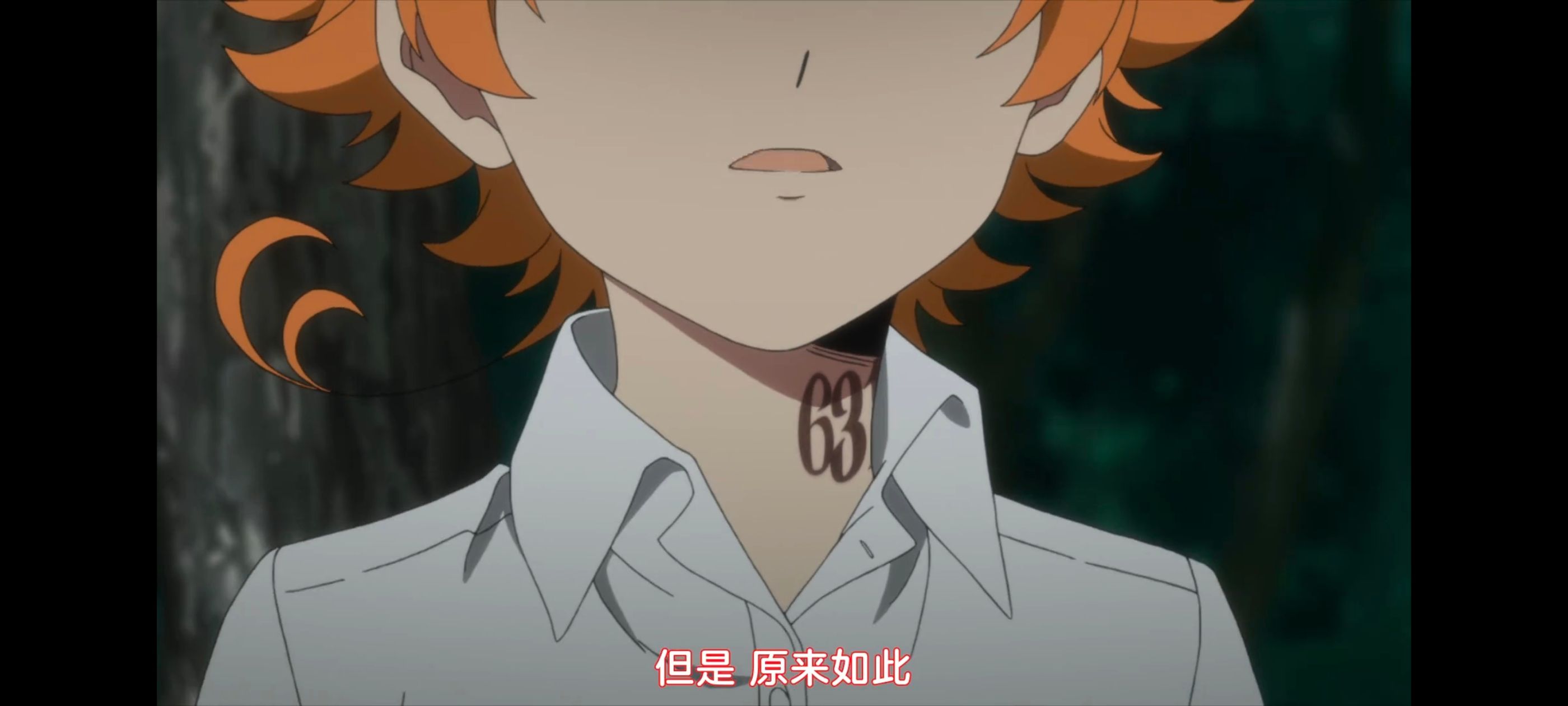 约定的梦幻岛,动画,动漫,番剧,ACG