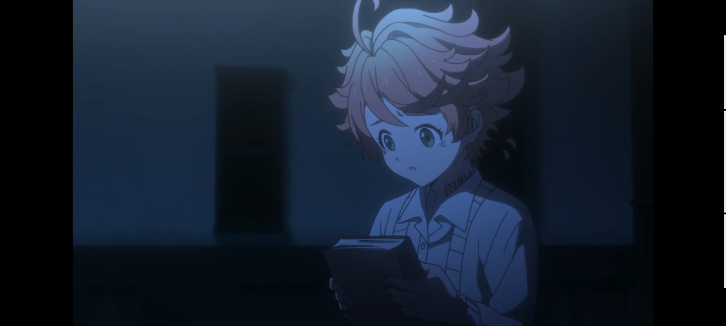 约定的梦幻岛,动画,动漫,番剧,二次元,ACG