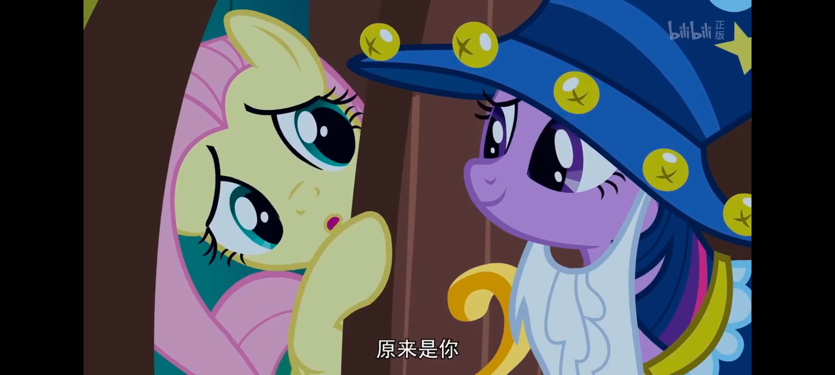 小马宝莉,小马宝莉友谊魔法,彩虹小马,我的小马驹,动漫,动画,番剧,ACG