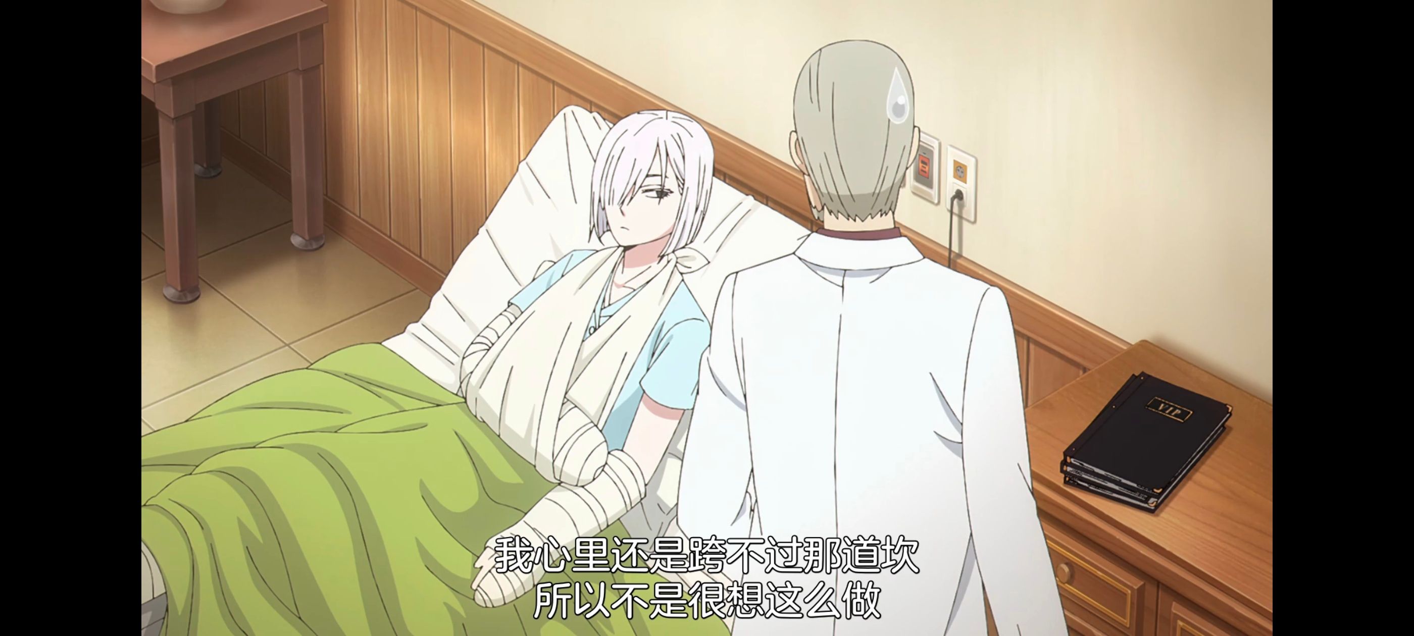 间谍过家家,SPYFAMILY,动画,动漫,番剧,ACG