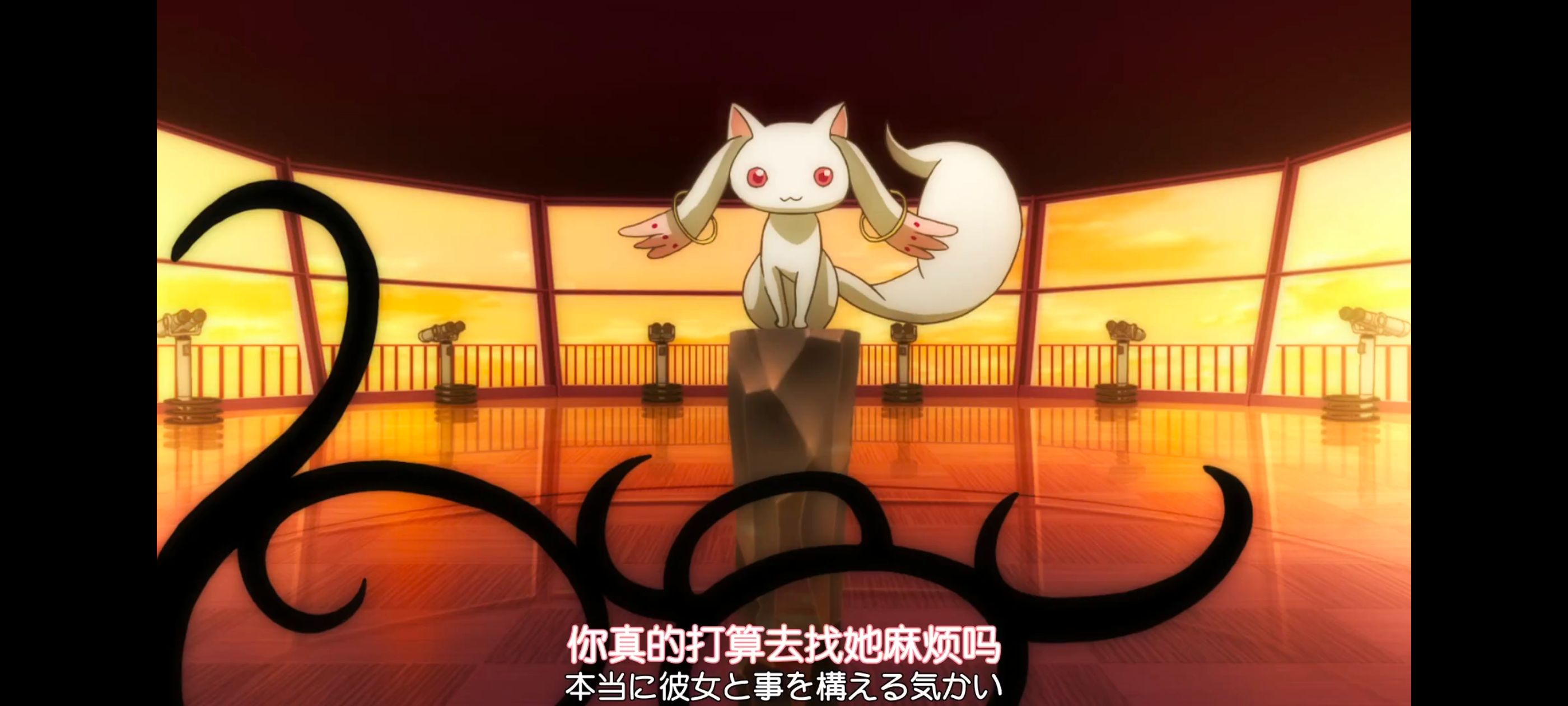 魔法少女小圆,魔法少女,动画,动漫,番剧,ACG