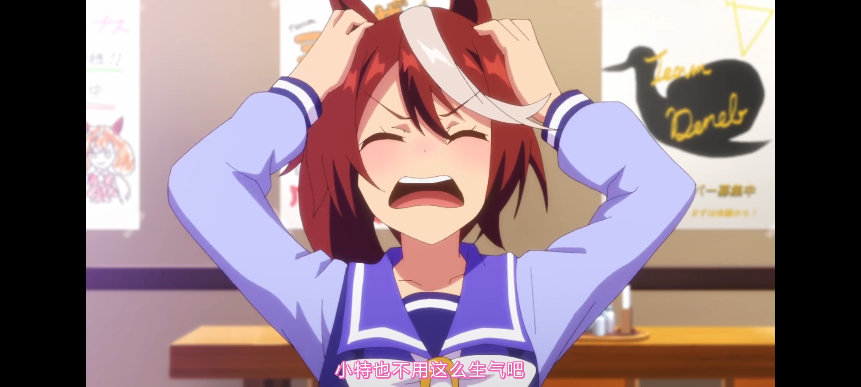 赛马娘,赛马娘第二季,动画,动漫,番剧,二次元,ACG