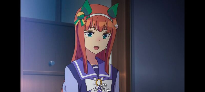 赛马娘,赛马娘PrettyDreby,动画,动漫,番剧,ACG