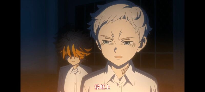 约定的梦幻岛,动画,动漫,番剧,ACG