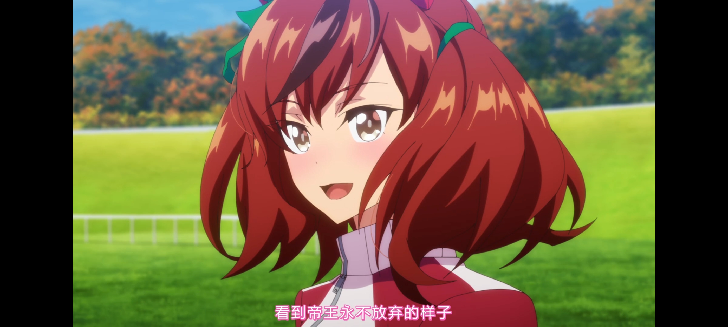 赛马娘,赛马娘第二季,动画,动漫,番剧,二次元,ACG