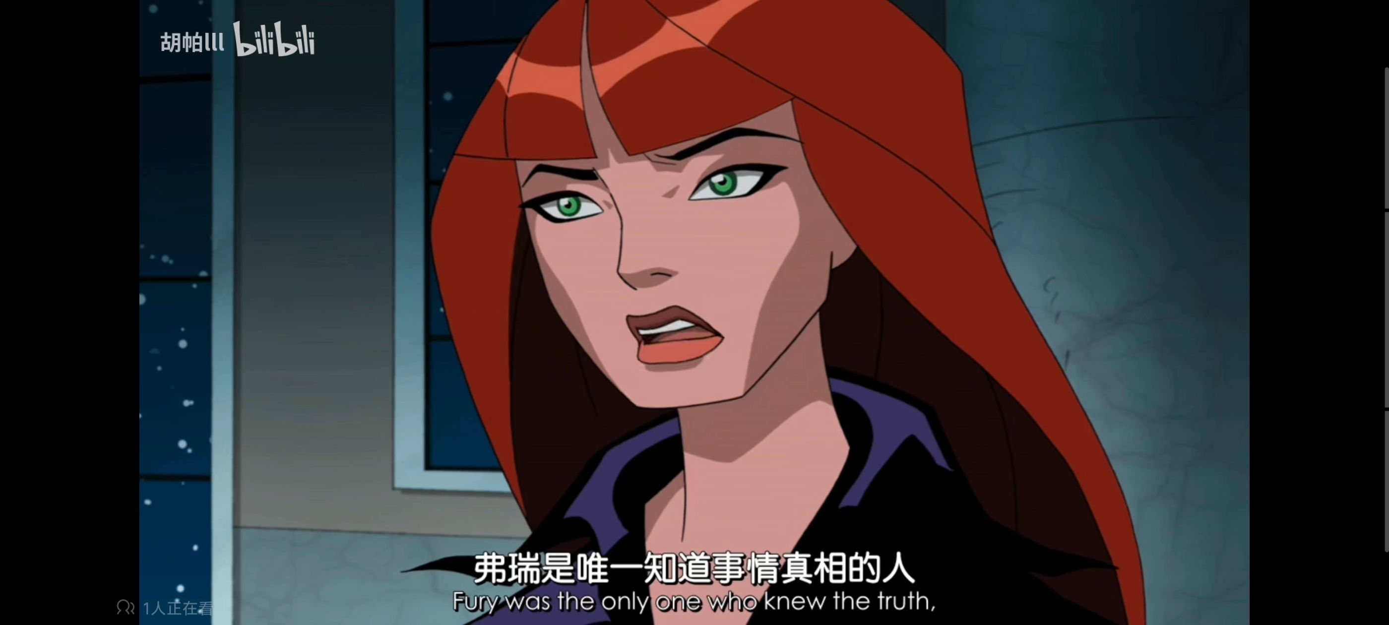 复仇者世上最强英雄组合,超级英雄联盟复仇者,复仇者联盟,动漫,动画,番剧,ACG