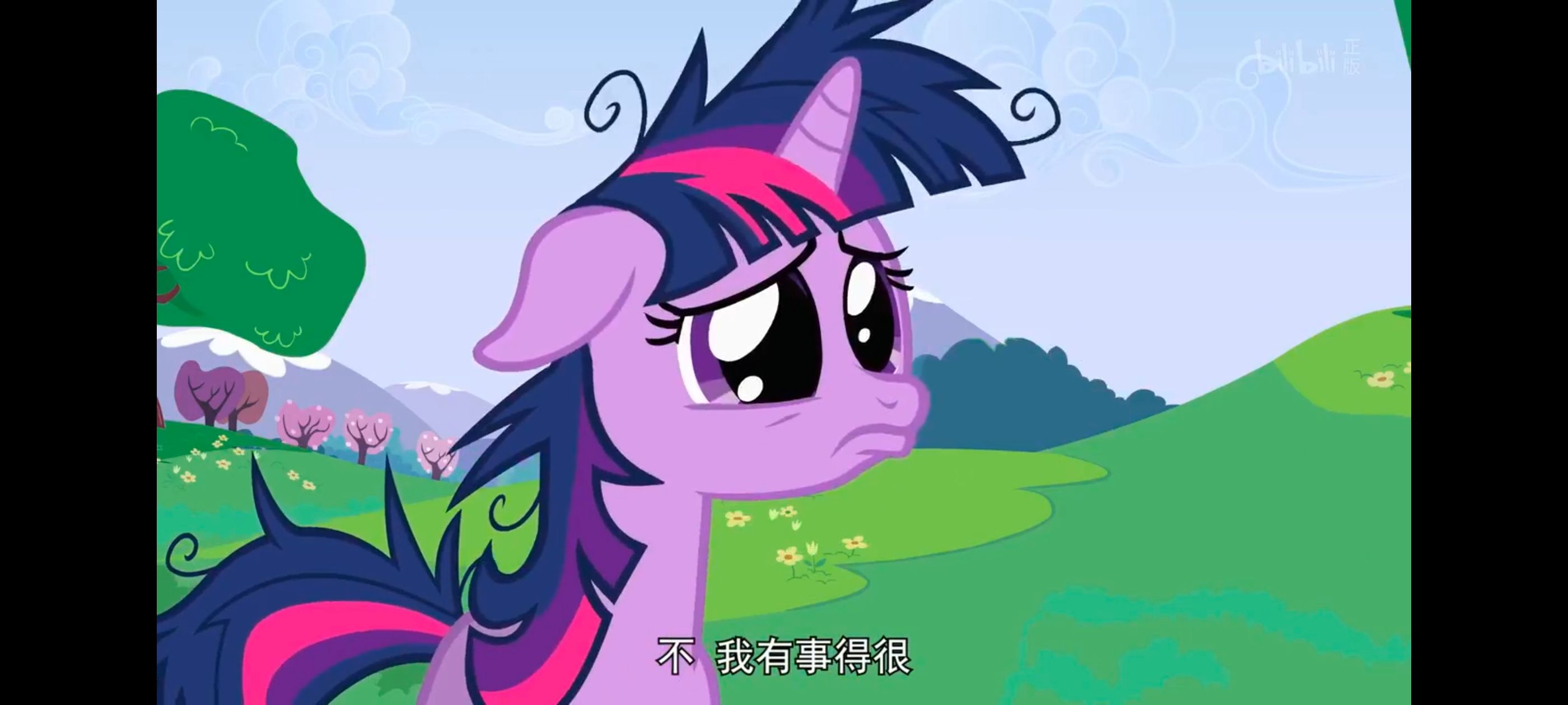 小马宝莉,小马宝莉友谊魔法,彩虹小马,我的小马驹,动画,动漫,番剧,ACG