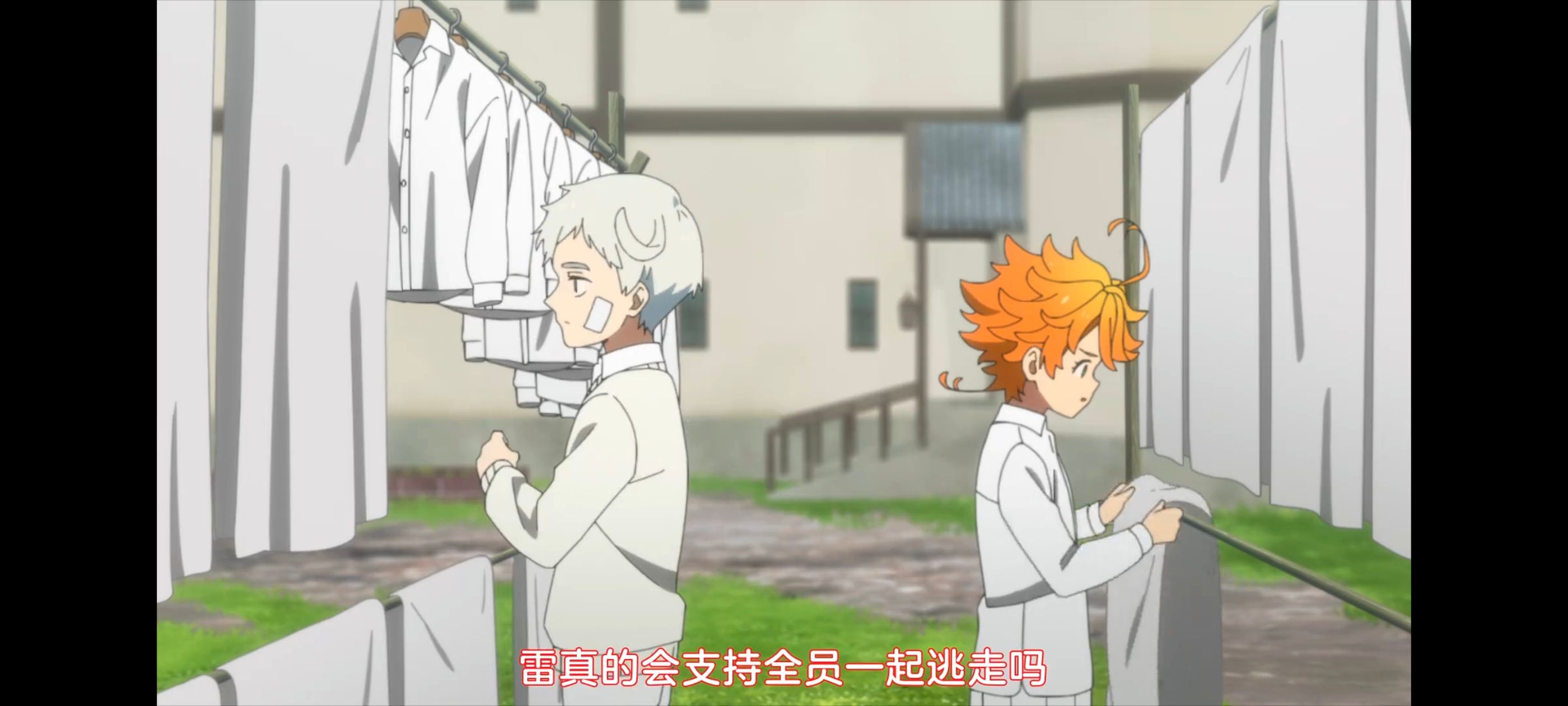 约定的梦幻岛,动画,动漫,番剧,ACG