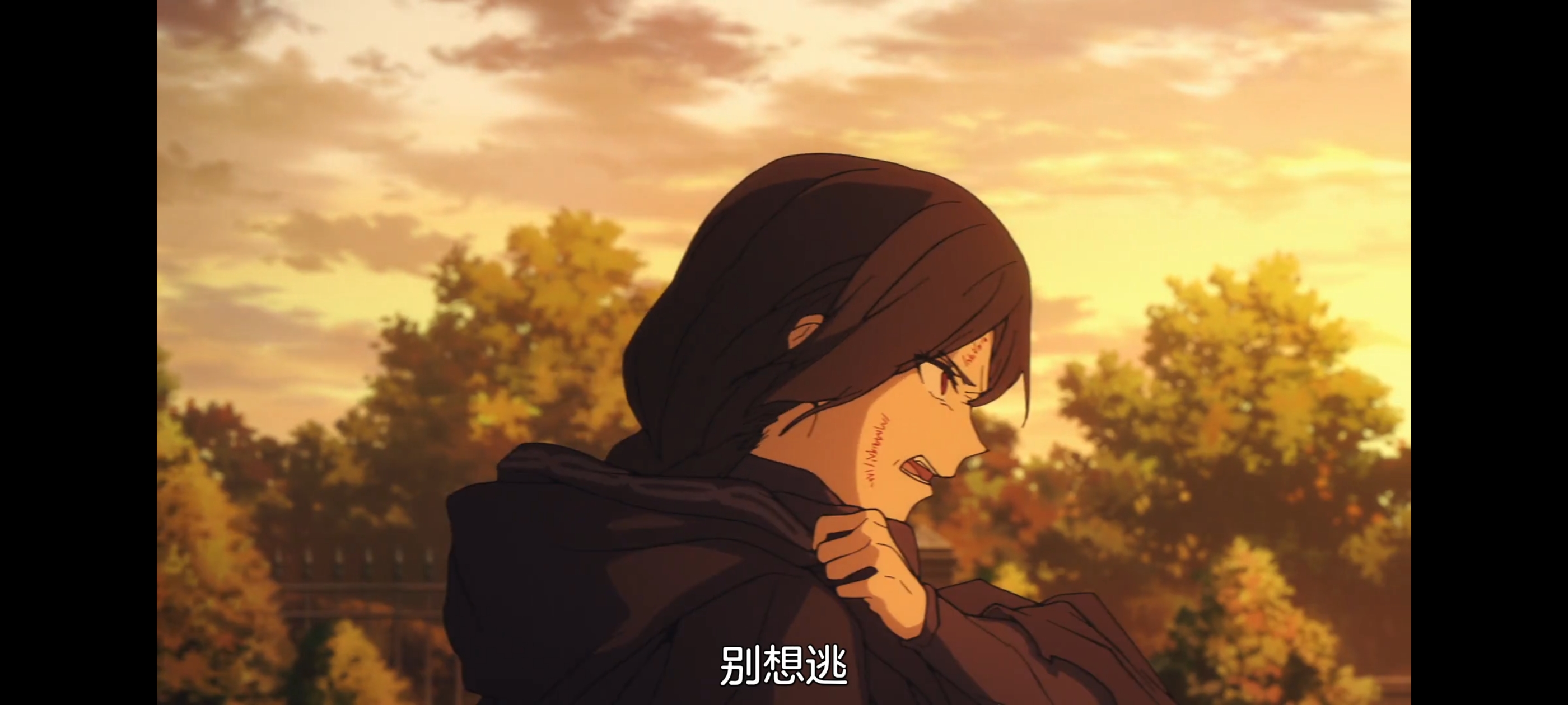 FATE,命运奇异赝品,FatestrangeFake,动画,动漫,番剧,二次元,ACG