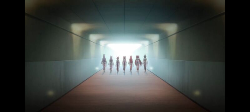 赛马娘,赛马娘PrettyDreby,动画,动漫,番剧,ACG