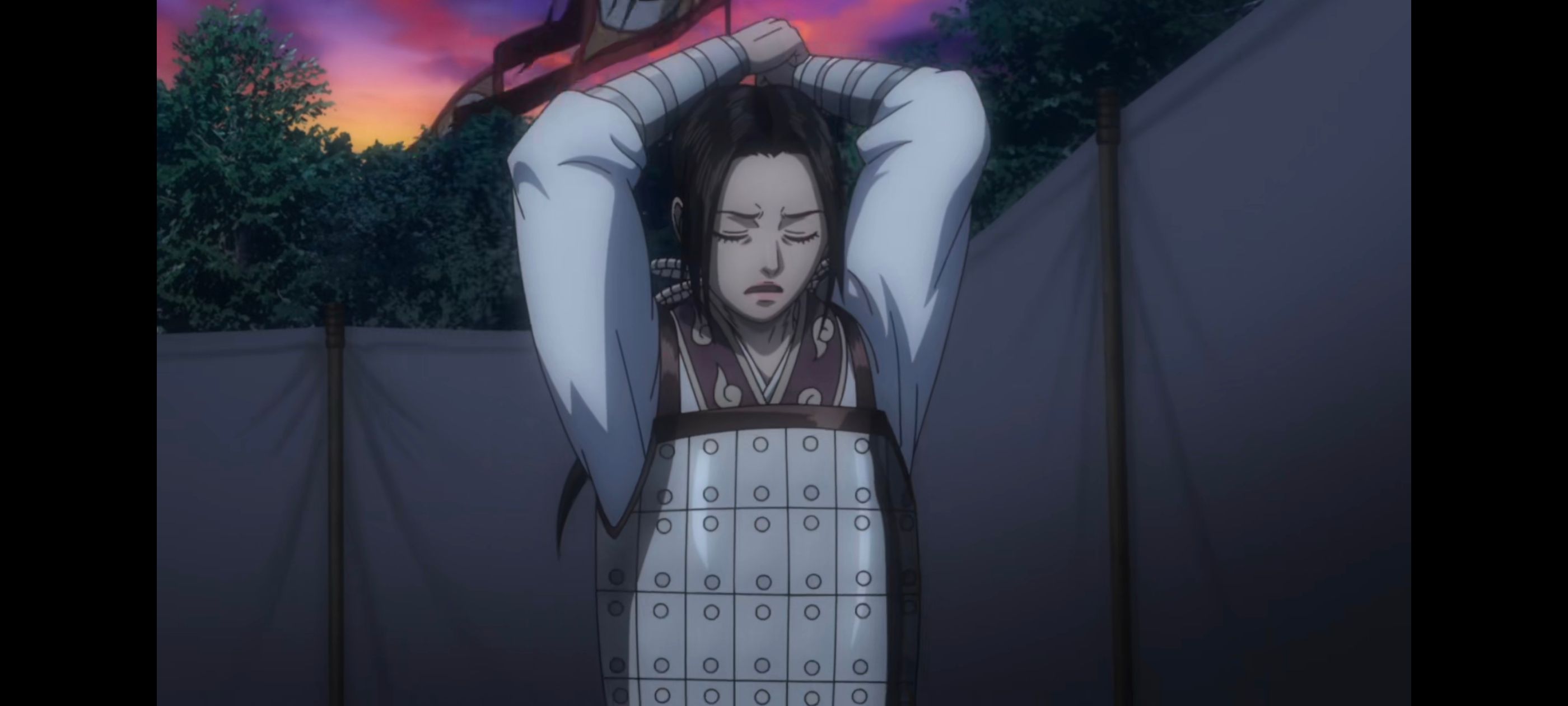 王者天下,动画,动漫,番剧,ACG