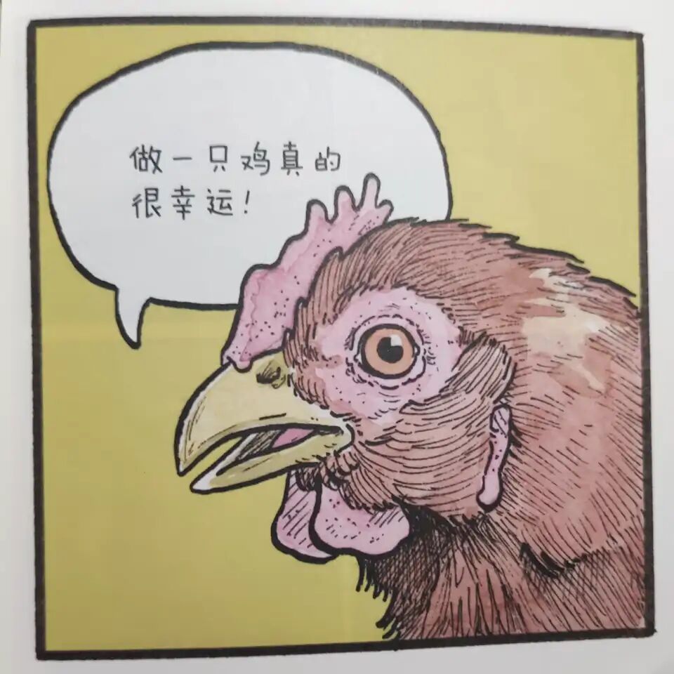 /static/2f97beb1cc1ba27e222c6cb018cd896ee58d1a7807798d64e2ec350477e13e76.jpg