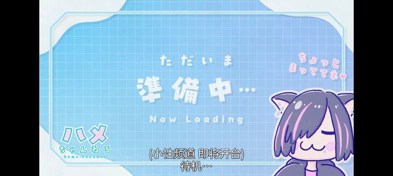 尼古喵喵,雅尼猫,动画,动漫,番剧,二次元,日漫,ACG