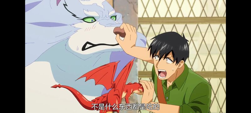 网购技能开启异世界美食之旅,拥有超常技能的异世界流浪美食家,动漫,动画,番剧,ACG