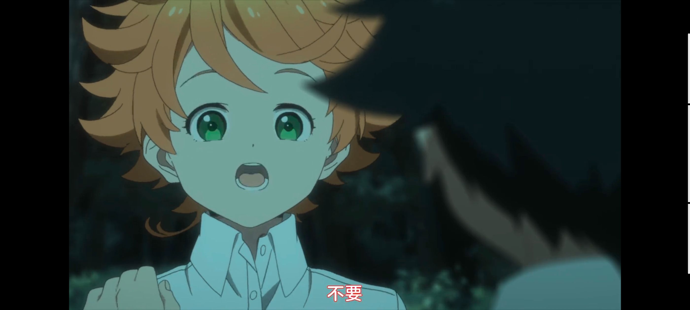 约定的梦幻岛,动画,动漫,番剧,ACG