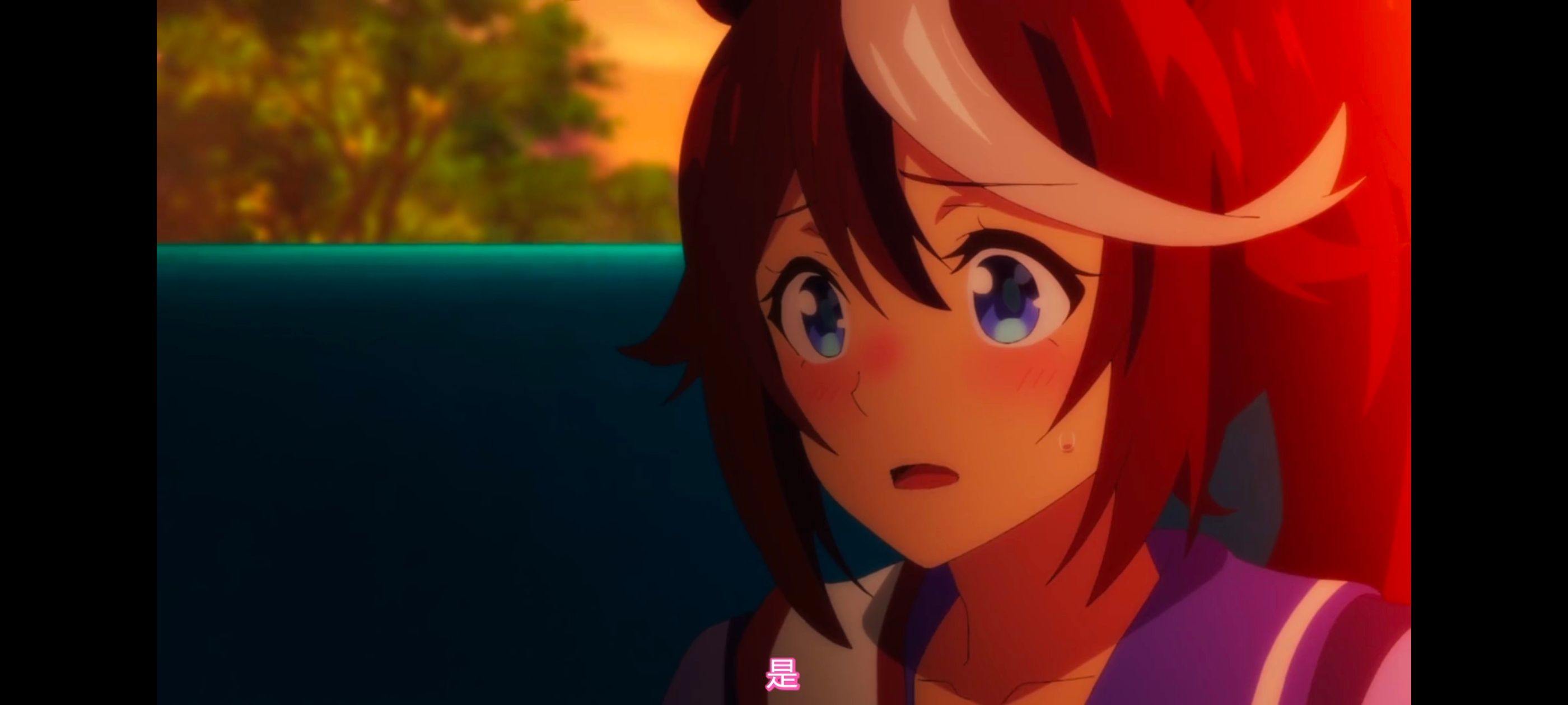 赛马娘,赛马娘PrettyDreby,动画,动漫,番剧,ACG